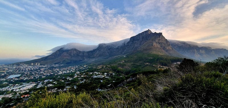 The Ivy Manor - Cape Town, South Africa